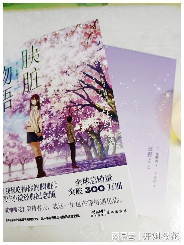 虎鲸为什么怕座头鲸